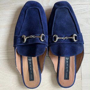 Steve Madden Women’s Navy Velvet Mule 8